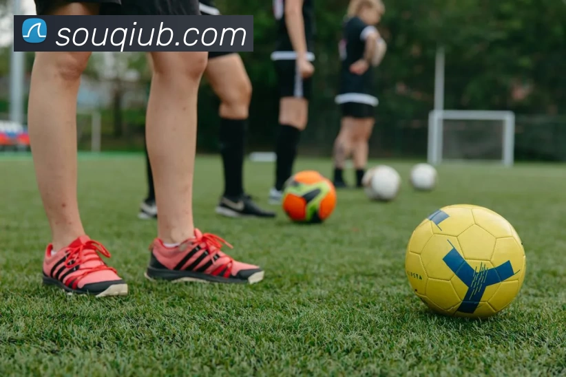 搜球吧直播官网平台生态图